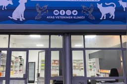turkcell- elmadağlı iletişim