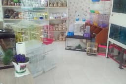 Aydoğan Petshop