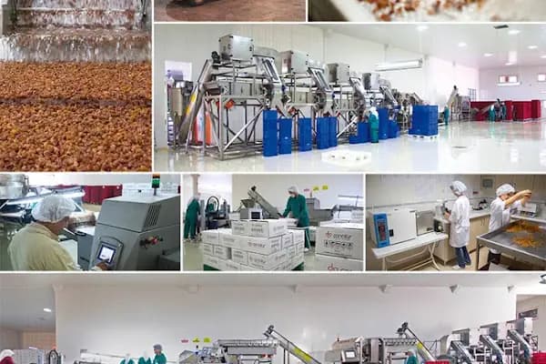 ÇANCILAR ÜZÜM İŞLETMESİ (Cancilar Food) - Gıda Pazarı - Manisa Ahmetli