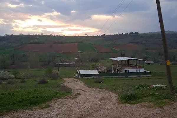 Mahmudiye Mahallesi Muhtarlığı - Resmi Kurum - Bursa Yıldırım