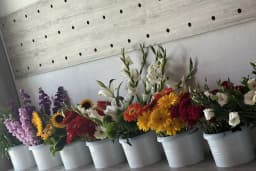 Flowershop