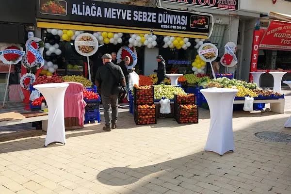 Aliağa - Administrative Area2 - İzmir Aliağa