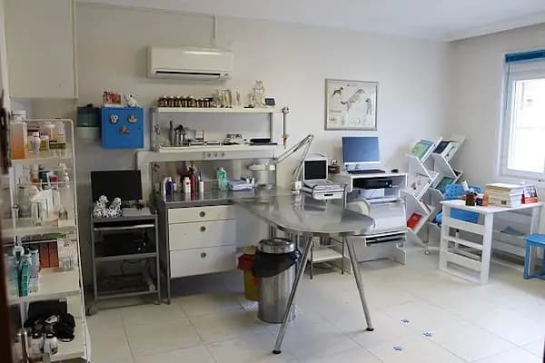 Mavişehir Veteriner - Acil Durum Veterinerlik Hizmeti - İzmir Bayraklı
