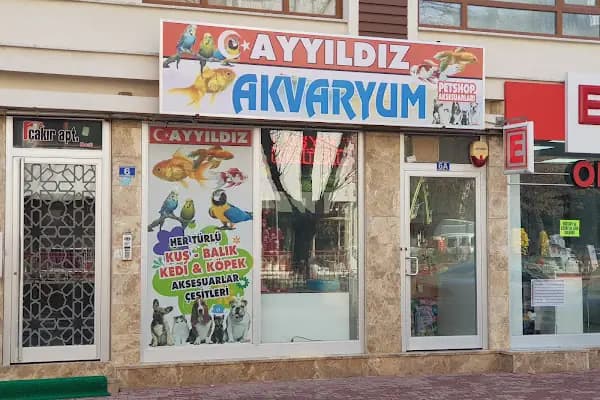 Konya Ayyıldız Petshop-Shop-Kedi maması-Konserve- Kedi kumu - Tuvaleti -yaş mama- Kedi-Köpek-Maması-pet shop-Pet dükkan - Evcil Hayvan Malzemeleri Mağazası - Konya Meram