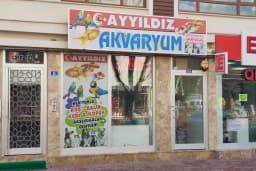 Konya Ayyıldız Petshop-Shop-Kedi maması-Konserve- Kedi kumu - Tuvaleti -yaş mama- Kedi-Köpek-Maması-pet shop-Pet dükkan