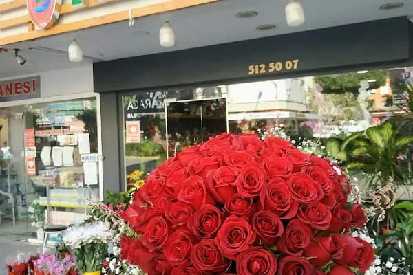 AKDENİZ ÇİÇEK Alanya / FLOWER SHOP/ BALLOONS - Çiçekçi - Antalya Alanya