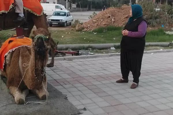 Çocuk Parkı - Park - Adana Kozan