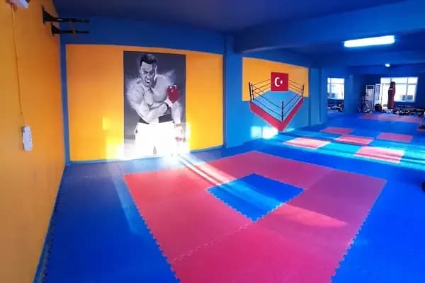 Aydın Erat Spor Kulübü, Taekwondo &amp; Kick Boks &amp; Muay Thai - Spor Kulübü - İstanbul Kâğıthane
