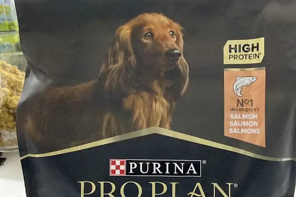 İstanbul petshop esenler - Resim 19