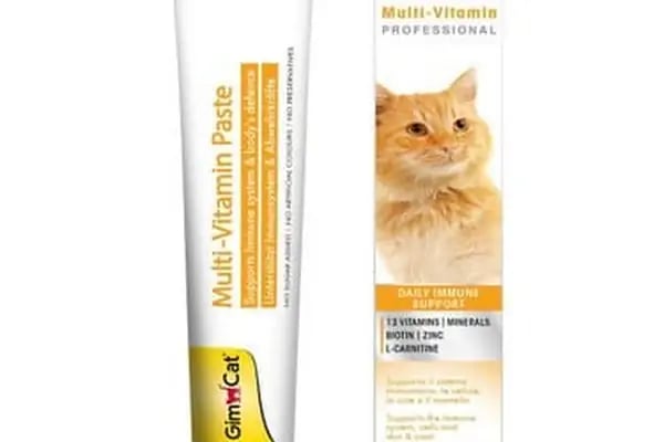 İstanbul petshop esenler - Resim 18