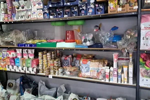 İstanbul petshop esenler - Resim 20