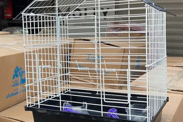 İstanbul petshop esenler - Resim 11