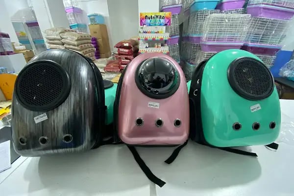 İstanbul petshop esenler - Resim 14