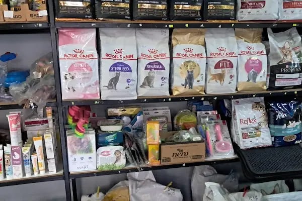 İstanbul petshop esenler - Resim 4