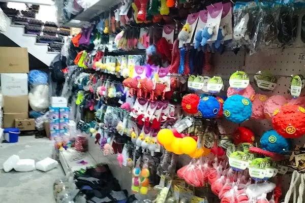 İstanbul petshop esenler - Resim 7