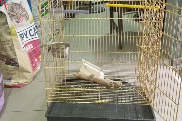 İstanbul petshop esenler - Resim 17