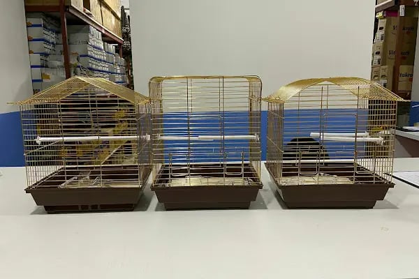 İstanbul petshop esenler - Resim 8