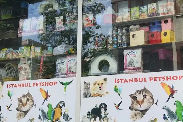 İstanbul petshop esenler - Resim 2