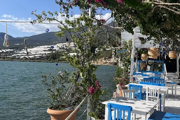 Mavi yengeç kaya restaurant - Resim 11