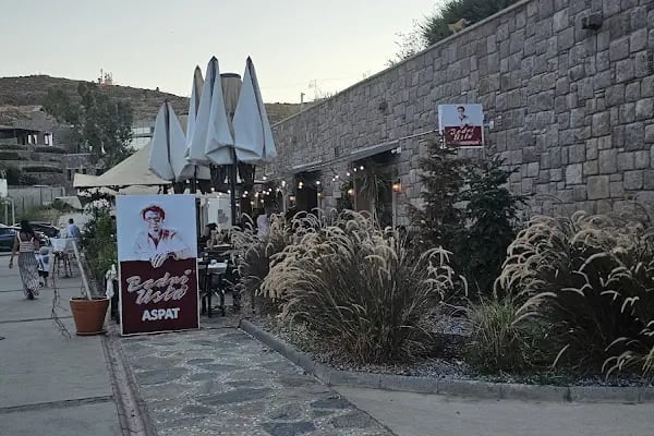 Bedri Usta Aspat - Resim 20
