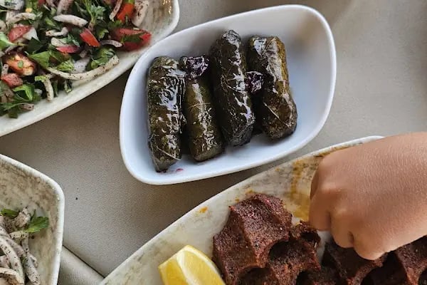Bedri Usta Aspat - Resim 16