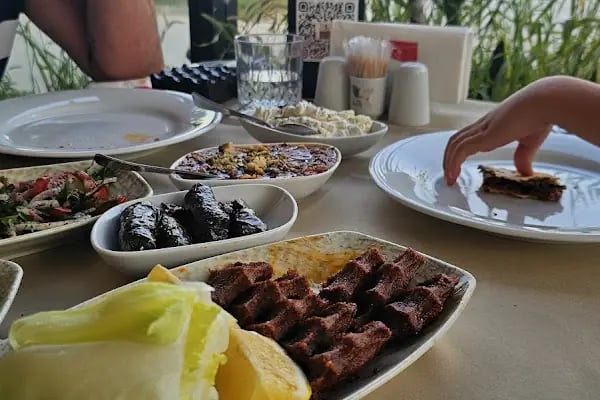 Bedri Usta Aspat - Resim 17