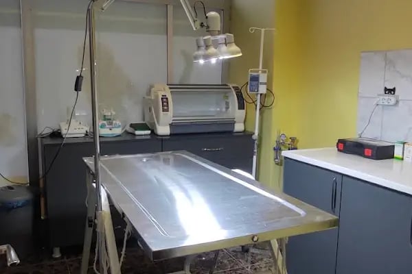 Patikon Veteriner Kliniği - Resim 12