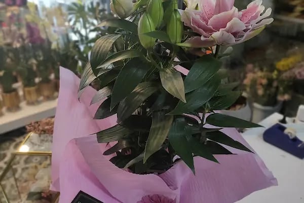 Öz Kadırga Trabzon Ekmek Fırını - Resim 1