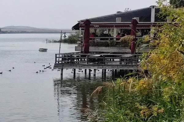 Bademlidere Cumhuriyet Parkı Neşeli Ayaklar - Resim 15