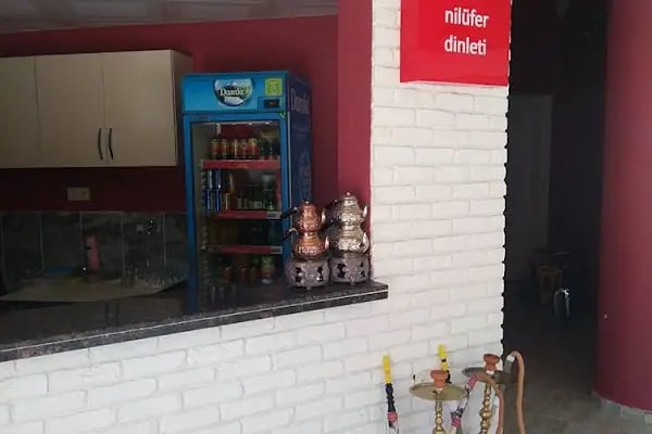 Nilüfer Kafe Dinleti - Resim 14