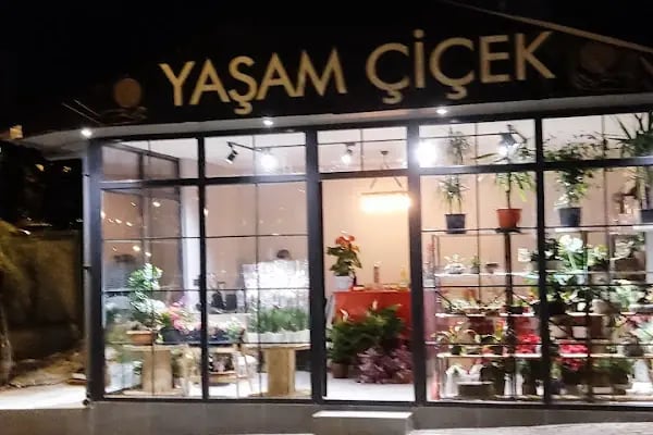 Yaşam Çiçek - Resim 14
