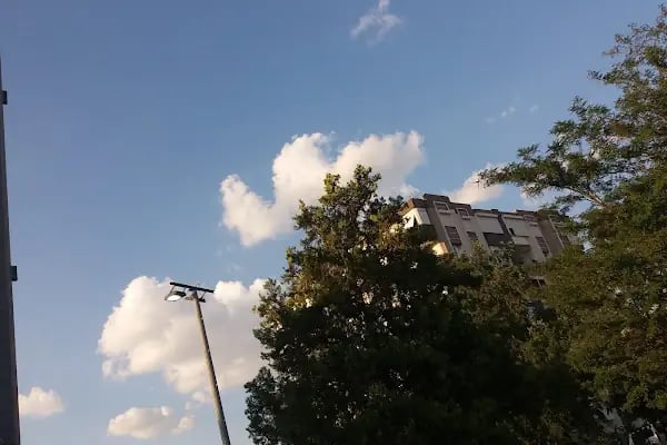 Kartal Parkı - Resim 18