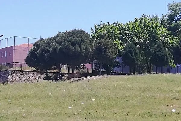Kartal Parkı - Resim 17