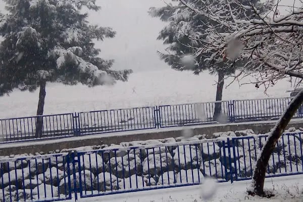 Kartal Parkı - Resim 15