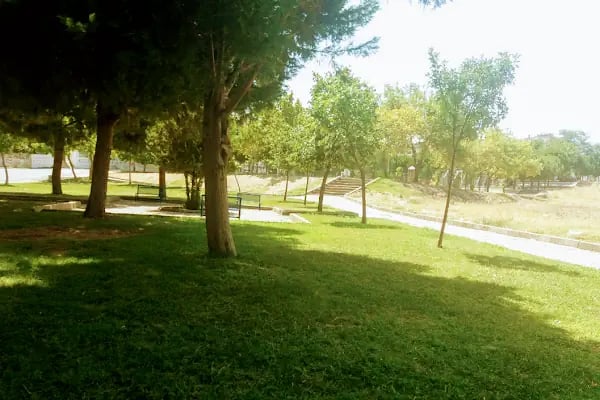 Kartal Parkı - Resim 4