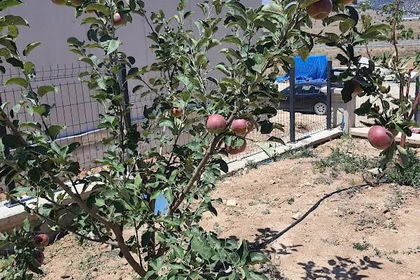Bizim Meram Dağ Evleri - Resim 18