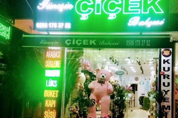 Güneşin Çiçek Bahçesi - Resim 2