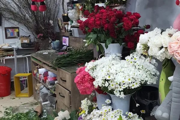 Güneşin Çiçek Bahçesi - Resim 20