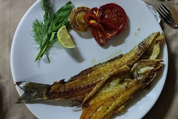 Çamlık Dedikodu Restaurant - Resim 6