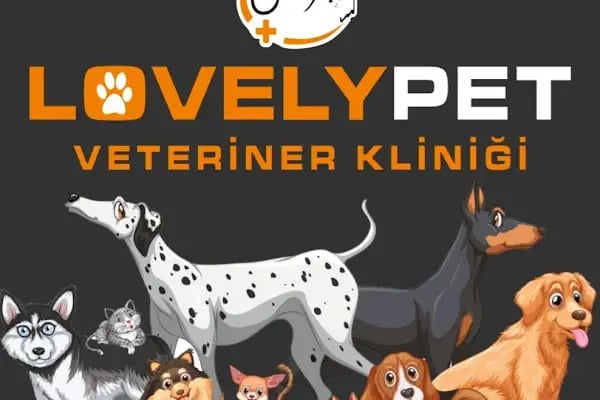 LOVELY PET VETERİNER KLİNİĞİ - Resim 4