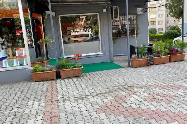 LOVELY PET VETERİNER KLİNİĞİ - Resim 3