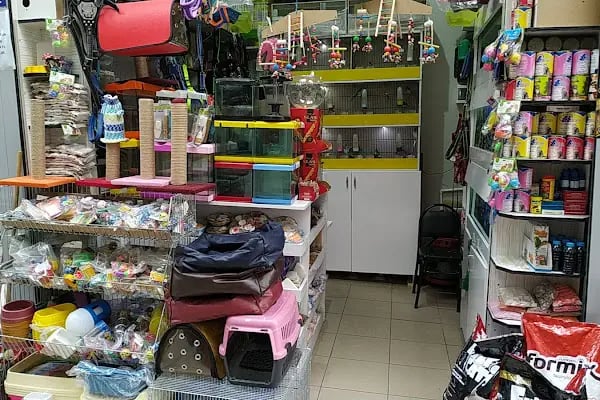 Talha Akvaryum Pet Shop - Resim 2