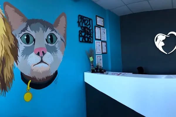 Vitalia Veteriner Kliniği - Resim 4