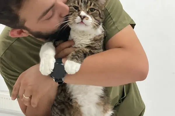 ÇAPA ANGORA VETERİNER KLİNİĞİ MAMAK - Resim 5