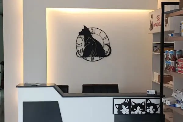 ÇAPA ANGORA VETERİNER KLİNİĞİ MAMAK - Resim 10