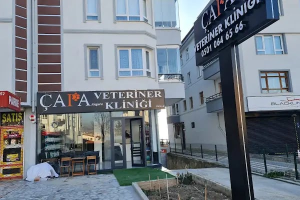 ÇAPA ANGORA VETERİNER KLİNİĞİ MAMAK - Resim 12