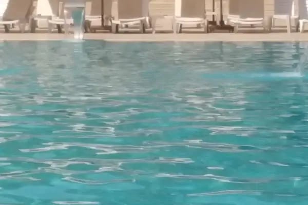 Doğa Club - Resim 3