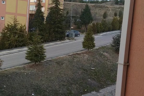 Ayaş Tarım Kredi Kooperatifi - Resim 3