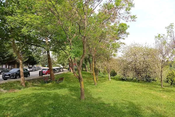 İstanbul Üniversitesi-Cerrahpaşa - Resim 17