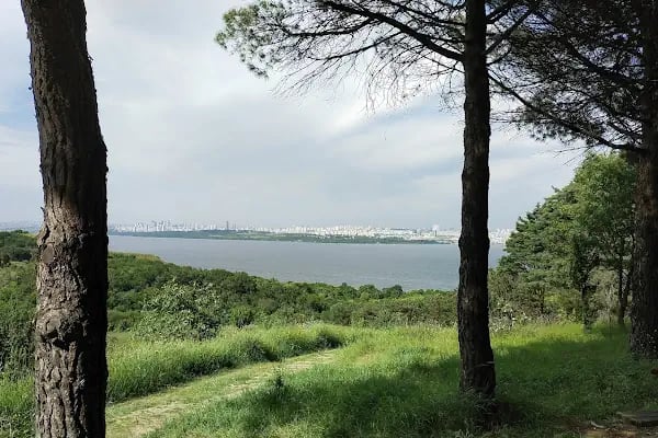 İstanbul Üniversitesi-Cerrahpaşa - Resim 5